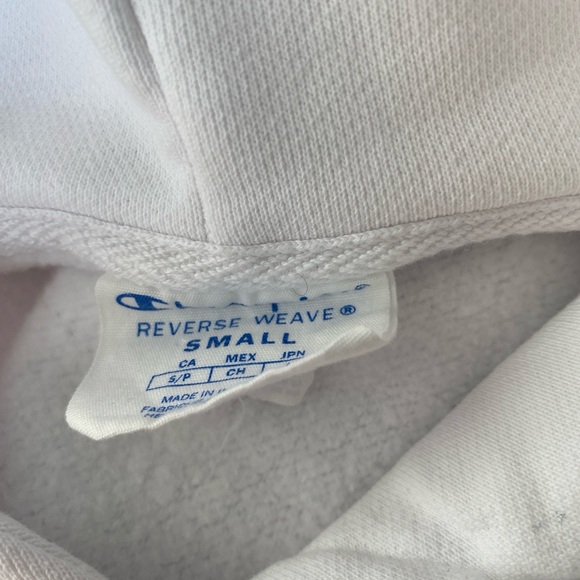 Champion X Susan Alexandra Reverse Weave Strawberry Watermelon Hoodie - Small - Picture 13 of 14
